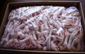 Wholesale frozen full chickens: Grade A Frozen Chicken Feet, Paws, Breast, Whole Chicken, Legs and Wings