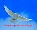 Morgan Import & Export.Egypt