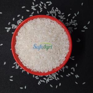 Wholesale for rice: Medium Grain Camolino Rice for Egypt