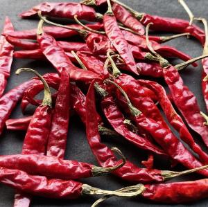 Wholesale red: Red Chillies