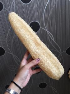 Wholesale office tool: Natural Whole Loofah No Bleaching, Hard and Chubby with Good Price Provided To South Korean Market