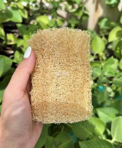 Wholesale cleaning sponge: Organic Loofah Sponge for Exfoliating and Kitchen Cleaning Cheapest Price/Vietnam Natural Loofah Cut
