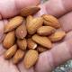 Sell Sweet California Almond Nut