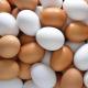 Sell Farm Fresh Chicken Table Eggs Brown and White