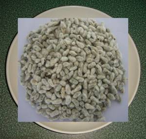 Wholesale cotton seeds: Cotton Seeds