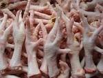Wholesale feets: Quality Frozen Chicken Feet