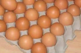 Wholesale computer: Brown Fertile and Table Chicken Eggs