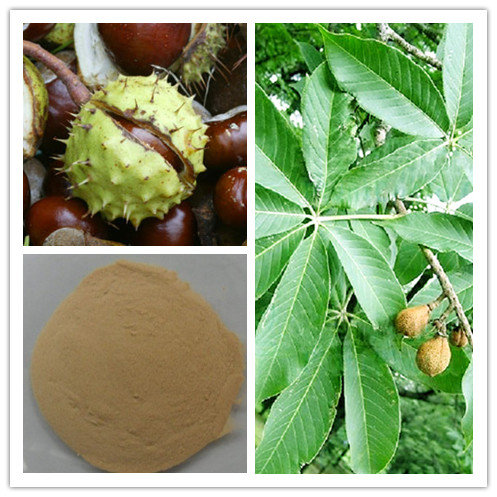 Manufacture Horse Chestnut Extract Powder(id:10059185). Buy China horse ...