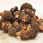 Wholesale Dried Mushrooms: Dried Morel Mushroom