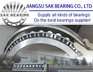 Jiangsu SAK Bedaring Co.,Ltd Company Logo