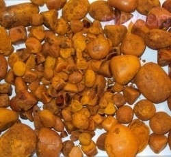 Wholesale pack: Cattle Gallstones, Cow Gallstones, Ox Gallstones, Cattle Horn,Cattle Horn