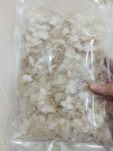 Wholesale good price &: Decalcified Fish Scales From Viet Nam with Good Price