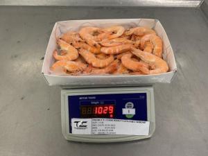 Wholesale hlso vannamei shrimp: Frozen Vannamei Shrimp From Vietnam with Good Price