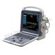 M213 Portable Color Doppler Ultrasound Scanner