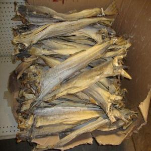 Wholesale cat parts: Dry Stock Fish