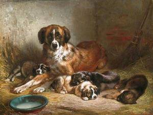 Wholesale oil painting reproduction: Animal Oil Painting On Canvas 100% Hand-painted