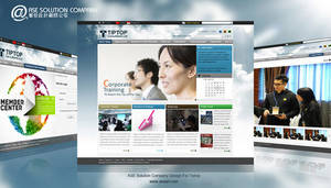 Wholesale website development: Website Development / Website Design