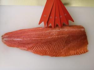 Wholesale fillet: Salmon Trout Fillets Trim E Frozen