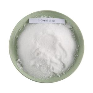 Wholesale nutrient: L-carnitine Powder Food Grade Additives Nutrient Supplements L Carnitine CAS 541-15-1