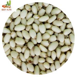 Wholesale pine nut kernels: Yunnan Pine Nut Kernels