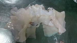 Wholesale frozen giant squid: Necks Giant Squid