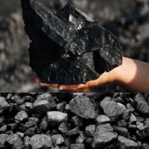 Wholesale manufacture: Coal Products