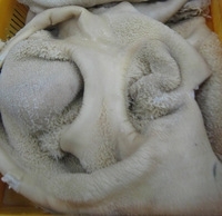 Wholesale salted dry donkey hides: Donkey Skin,Salted Cow Omasum/ Cow Pizzles/ Cow Beef/Donkey Meat