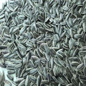 Wholesale paint additive: Sunflower Seeds, Chia Seeds