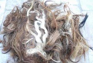 Wholesale natural hair dye: Cattle Tail Hair for Makeup Brush