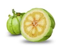 Sell Garcinia Cambogia