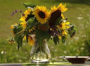 Wholesale seed: Sunflower Oil