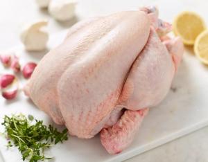 Wholesale Meat & Poultry: Frozen Halal Whole Chicken