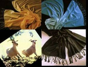Wholesale silk shawls: Cashmere Shawls