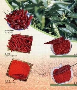 Small Chillies Without Stems 