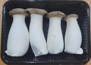 Wholesale Mushrooms & Truffles: Fresh King Oyster Mushroom and Creamy Mushroom