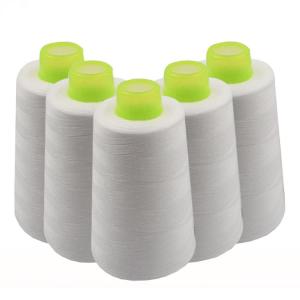 Wholesale Thread: China Wholesale Factory Price Polyester Bag Closing Sewing Thread with Various Counts