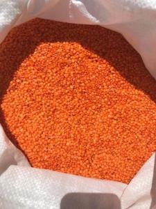 Wholesale red lentil: Whole Red Lentils Masoor Dal/ Green Mung Beans, Pinto Bean, Light Speckled, Kidney Beans, Light Brow