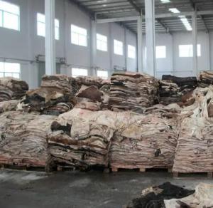 Wholesale blouse: Wholesale Dry and  Wet Salted Cow Hides / Skins / Cattle Hide, Sheep Skin, DRY SALTED DONKEY HIDES