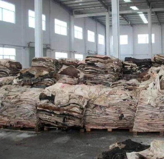 Wholesale Dry and Wet Salted Cow Hides / Skins / Cattle Hide, Sheep ...