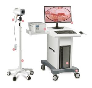 Wholesale zoom ccd camera: Kernel KN-2200 Colposcope Machine Cheap Price for Vaginal Gynecology Medical Equipment LED Colposcop