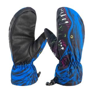 Wholesale winter glove: Winter Cold Weather Waterproof Ski Skateboard Gloves