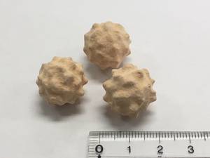 Wholesale raw material: Zeolite Ball