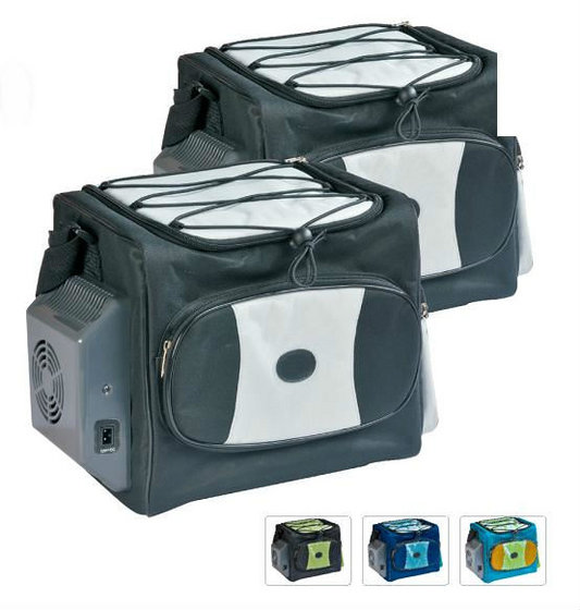Portable Thermoelectric Car Carried Cooler Bag Id 6945739 China Mini Fridge Ec21