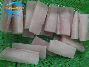 Wholesale pangasius: Frozen Pangasius Portion Cut