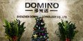 Shenzhen Domino Technology Co., LTD Company Logo