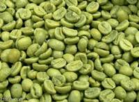 Sell Green Coffee Bean Extract Chlorogenic acid manufacturer cas 327-97-9