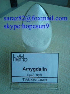 Wholesale Pharmaceutical Intermediates: Amygdalin 98%(Vitamin B17) Manufacturer