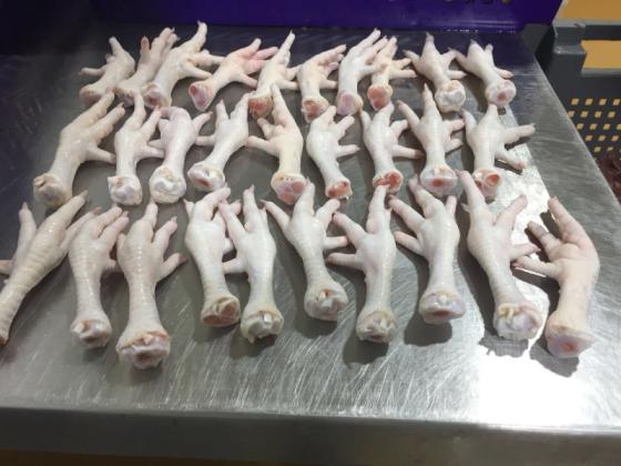 Sell Available Chicken Feet and Paws