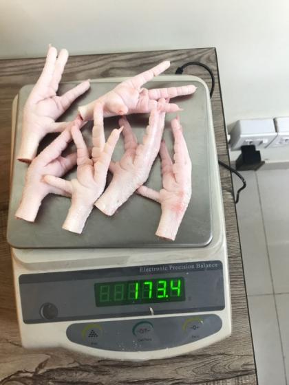 Sell Available Chicken Feet and Paws
