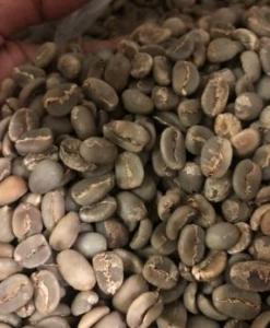 Wholesale coffee beans: Green Bean Coffee